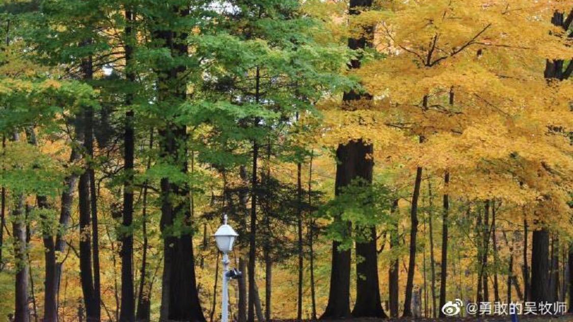 刚刚定向推广定制化开发您的 OA 系统:虚拟商品交易的高效助手,自动发卡全天候以旧换新带动销售额超7200亿